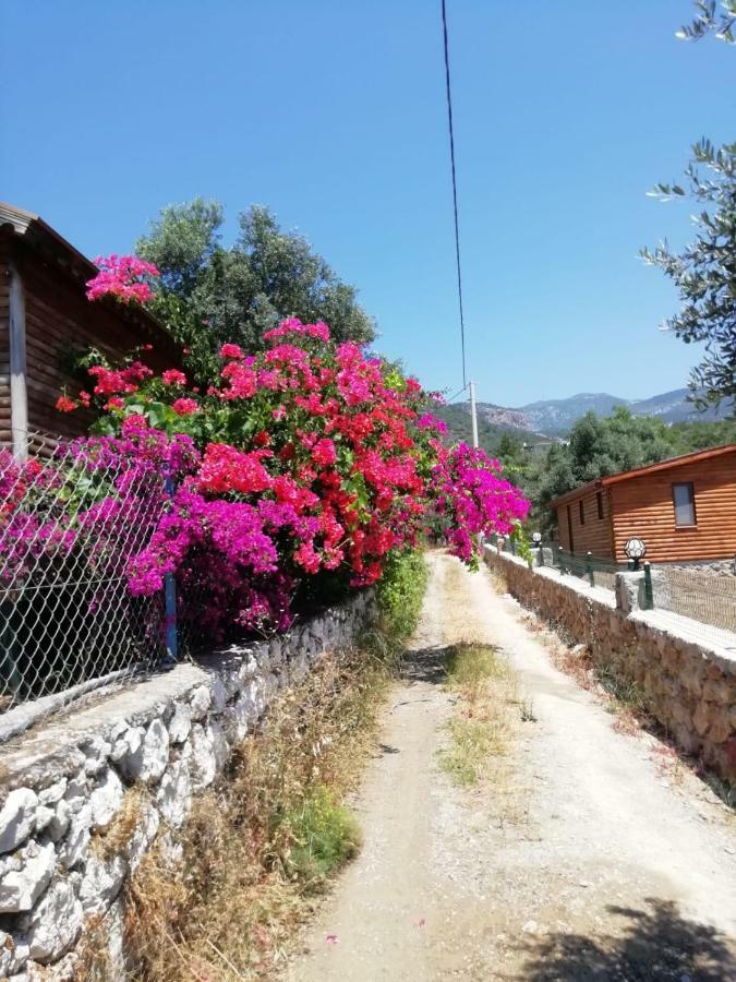 Bahar Bahce Datca Hotell Mesudiye  Exteriör bild